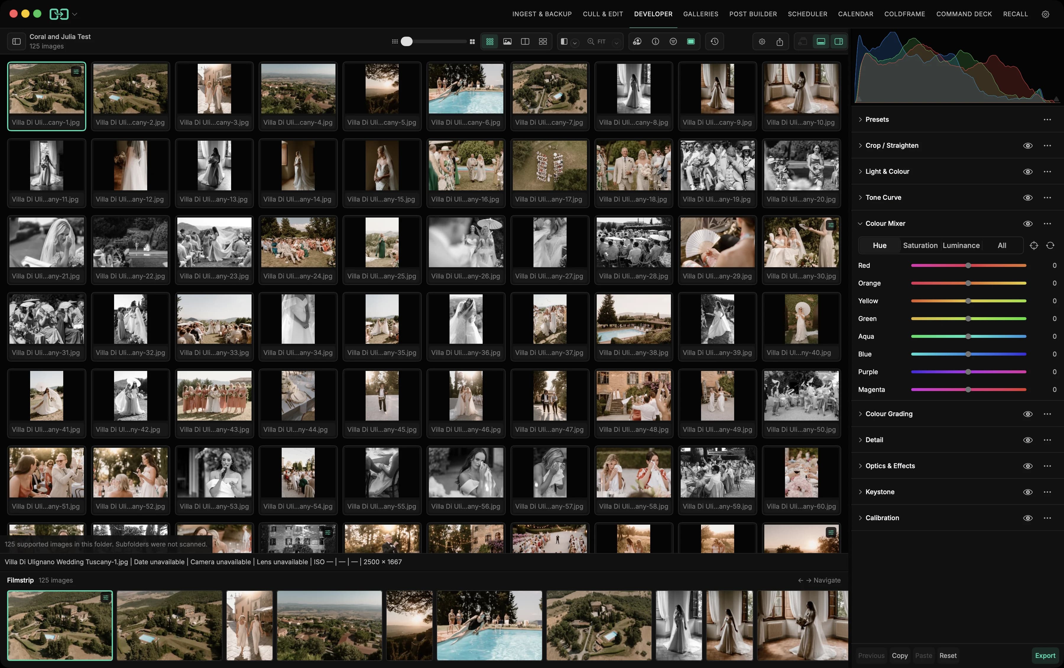 Handoff Pro Developer grid view with a wedding image set