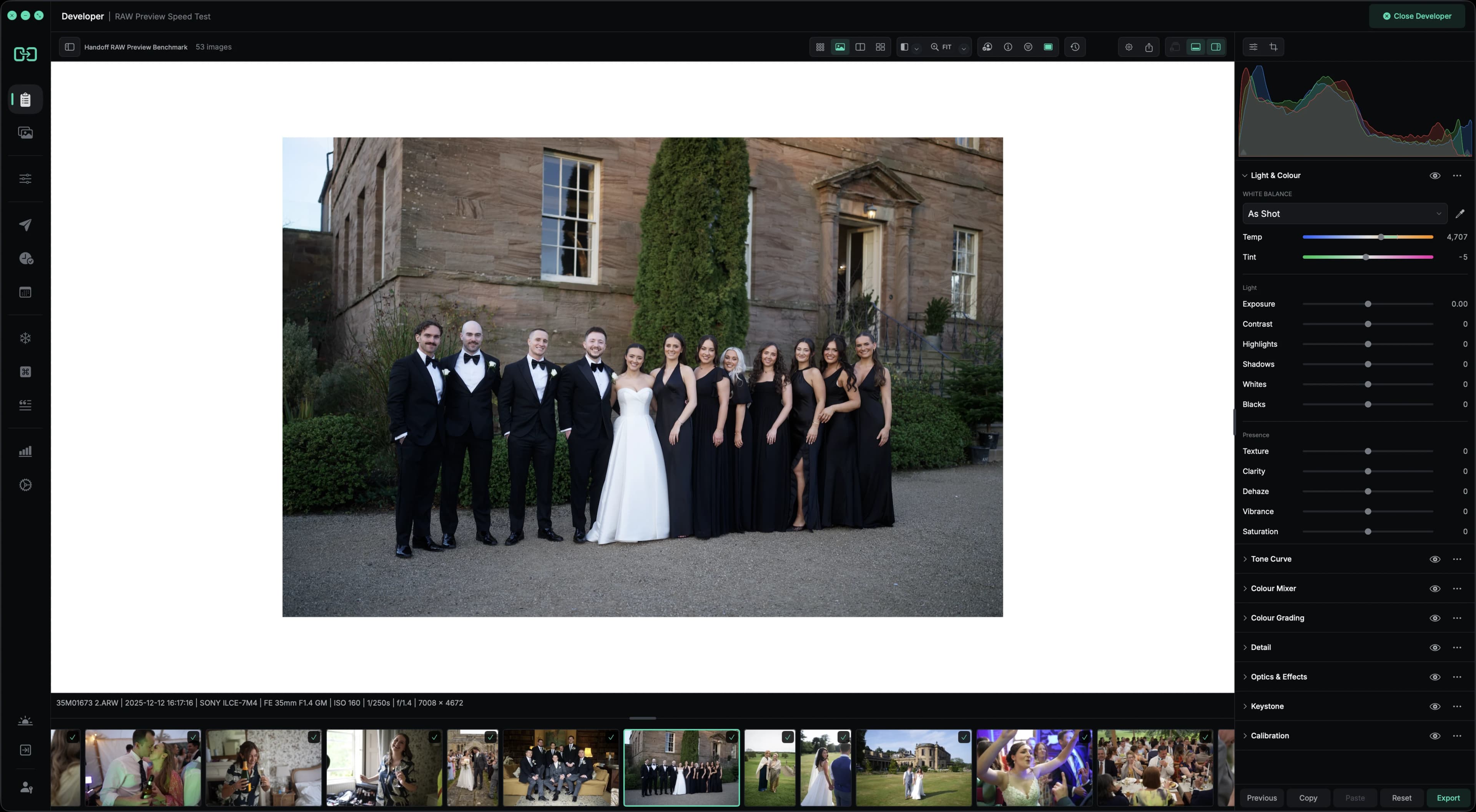 Handoff Pro Developer showing a wedding party photograph, filmstrip, and Light & Colour controls