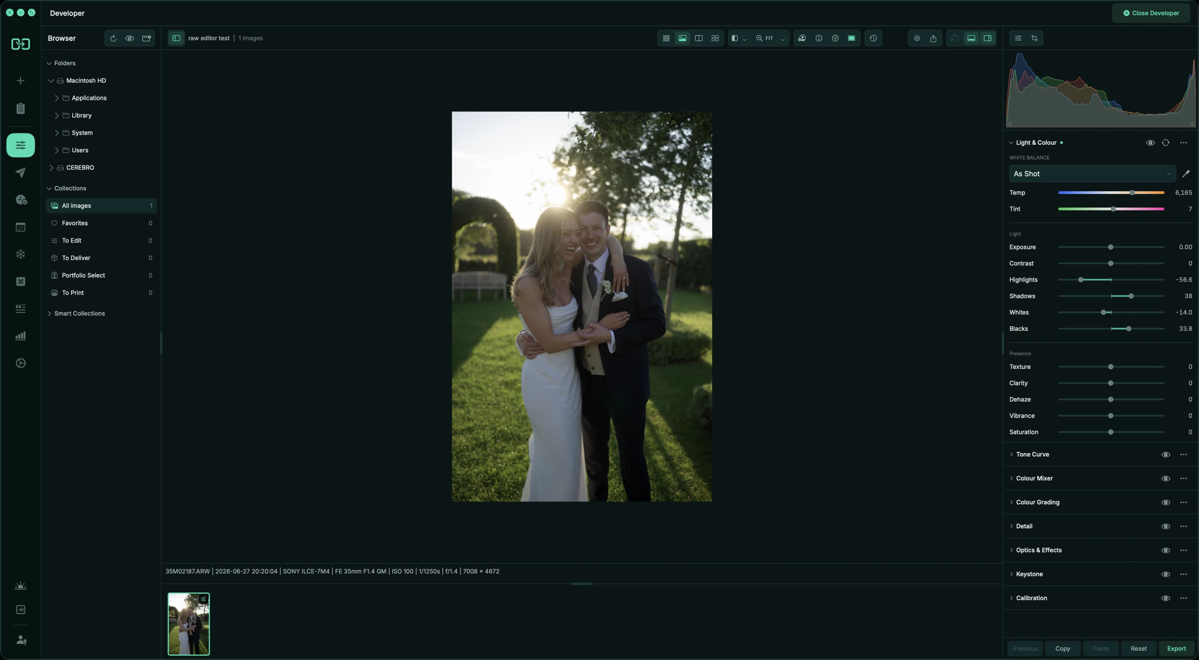 Handoff Pro Developer showing a wedding portrait, filmstrip, browser, and Light & Colour controls