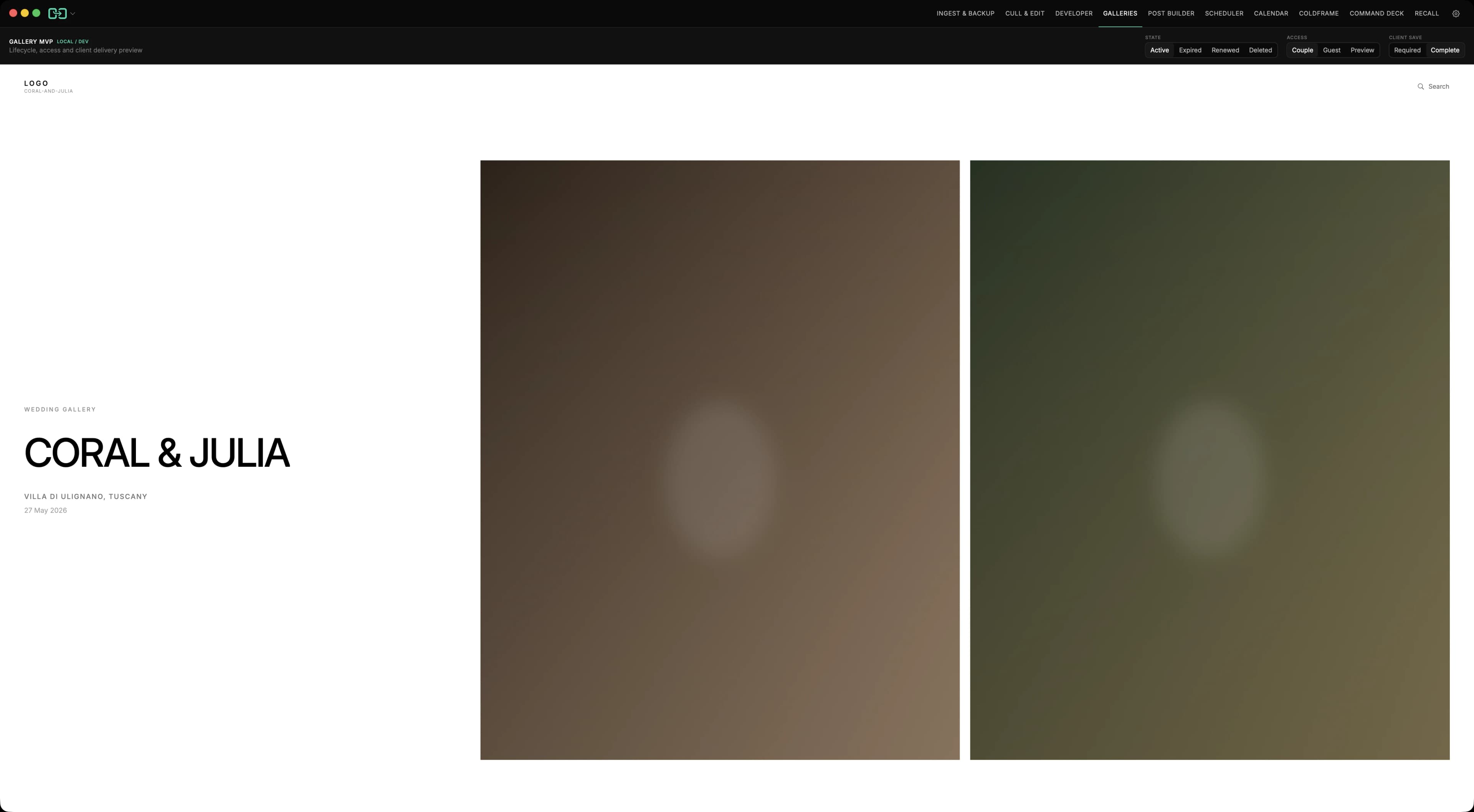 Galleries MVP workspace